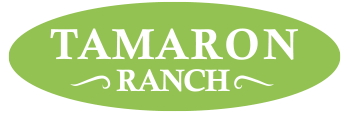 Community Logo